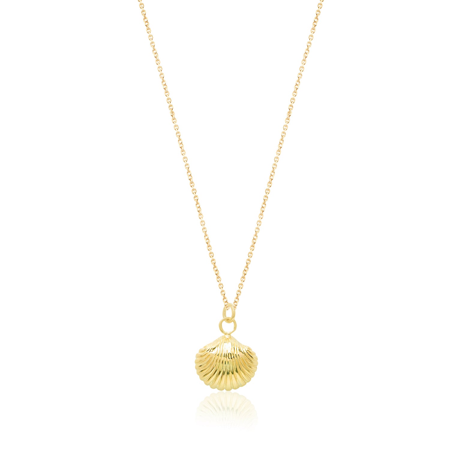 Sea Shell Necklace